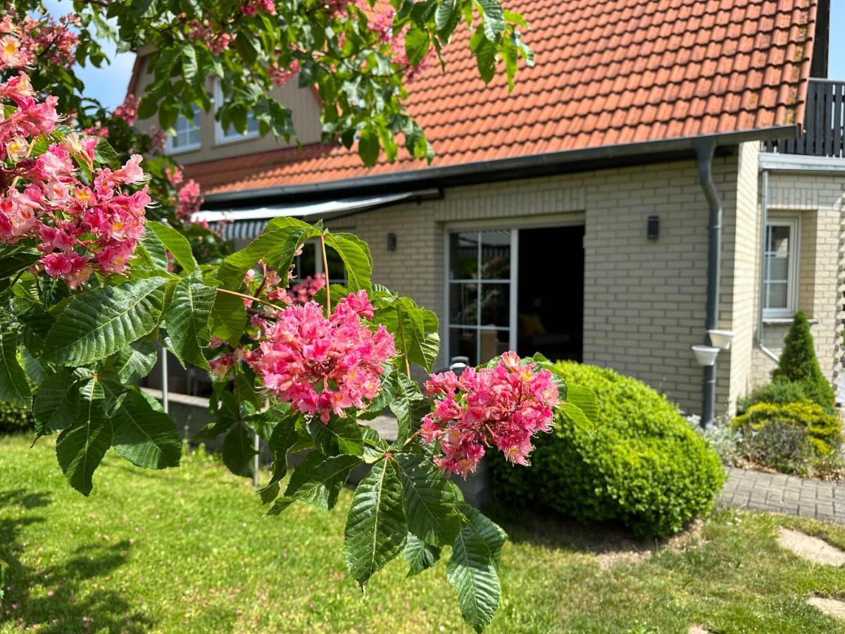 Familienurlaub Im Gruenen Lägenhet Wernigerode Exteriör bild