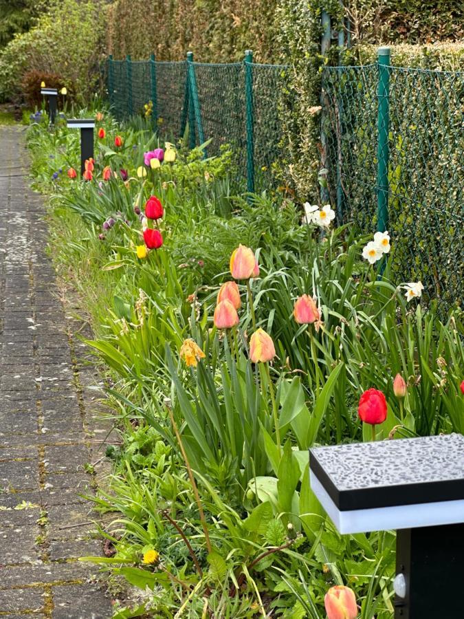 Familienurlaub Im Gruenen Lägenhet Wernigerode Exteriör bild